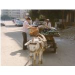 WDE02.jpg